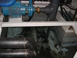 DSC04589
